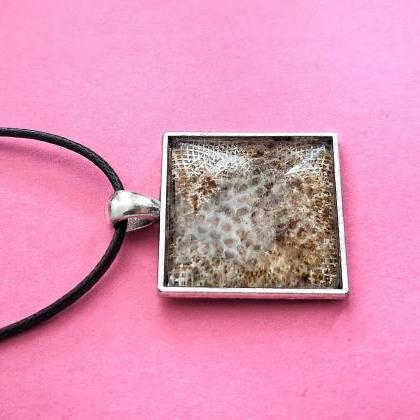 Snake Shed Necklace | Reptile Decor | Reptile Gift..