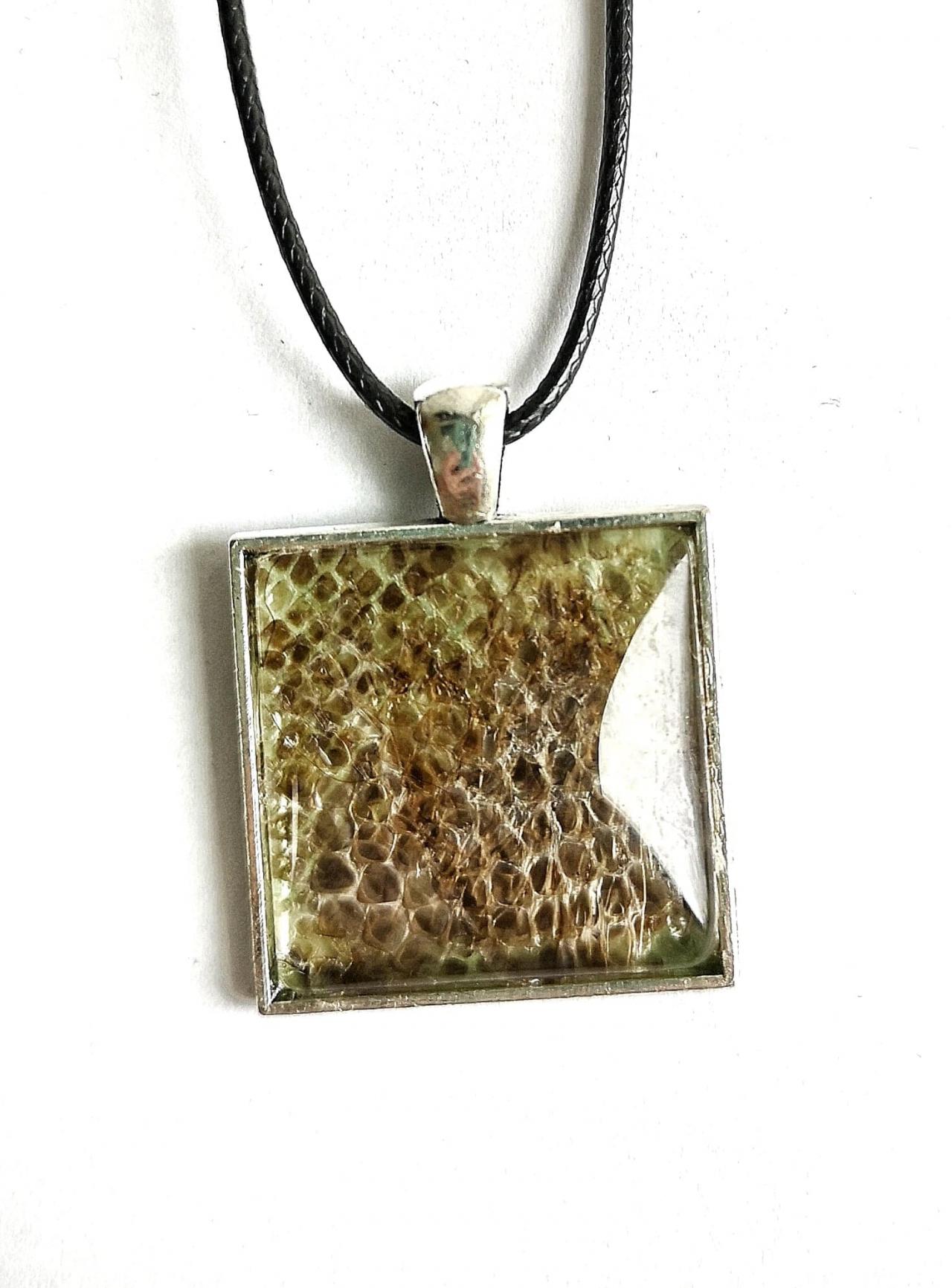 Snake Shed Necklace | Reptile Decor | Reptile Gift Ideas | Snake People ...